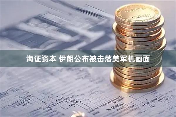 海证资本 伊朗公布被击落美军机画面