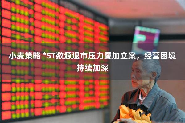 小麦策略 *ST数源退市压力叠加立案，经营困境持续加深