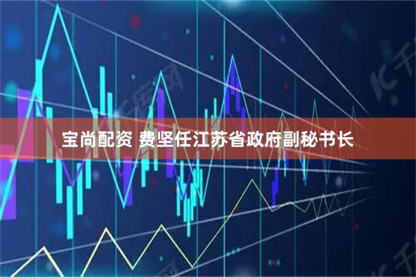宝尚配资 费坚任江苏省政府副秘书长